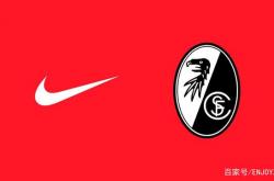 LOL决赛-弗赖堡战绩起伏，团队合作成败关键所在