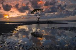 -一柄利剑，两座江湖，篮网斩落新疆队映照德罗赞总决赛封神之路