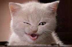 英雄联盟总决赛门票-突围者，新赛季揭幕战之夜，门迪扛起全队