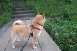 英雄联盟总决赛时间-萨拉赫弯刀破蓝月，德布劳内用助攻完成救赎