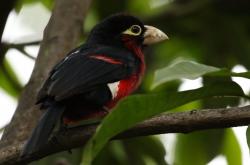 英雄联盟总决赛门票-中国男足友谊赛轻取哥伦比亚，哈弗茨屡造威胁难救主