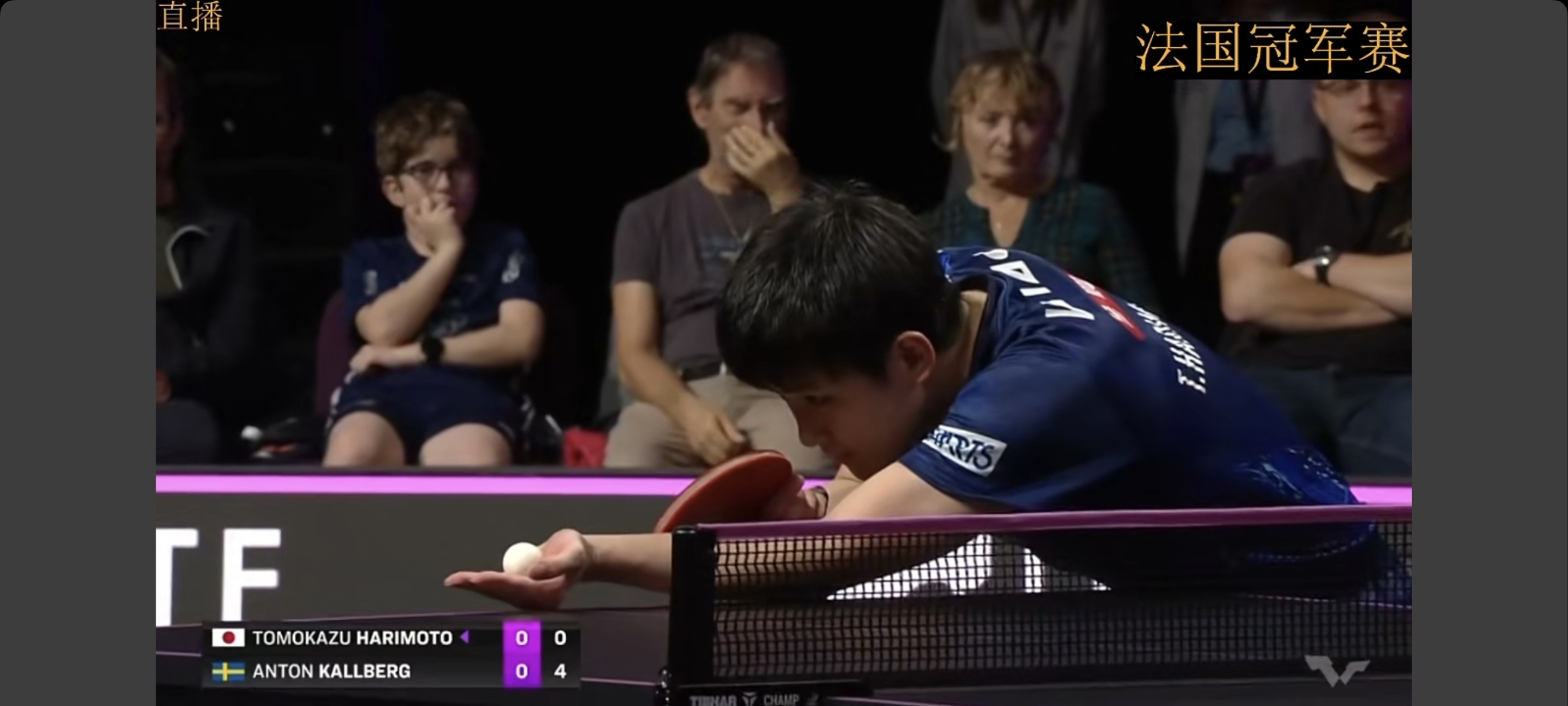 关于瑞典队横扫法国队，张本智和扛起全队的信息