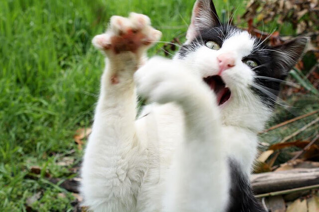 总决赛的钟表匠，詹姆斯如何校准关键战场的每一秒