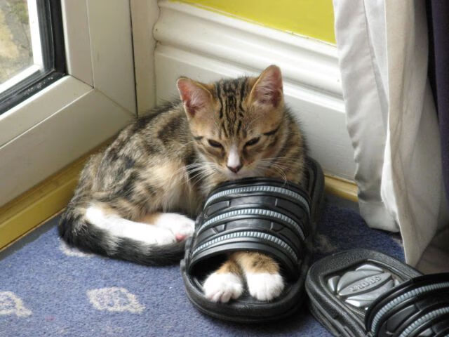 文明对决,当埃及金字塔阴影笼罩梅阿查,C罗一剑封喉