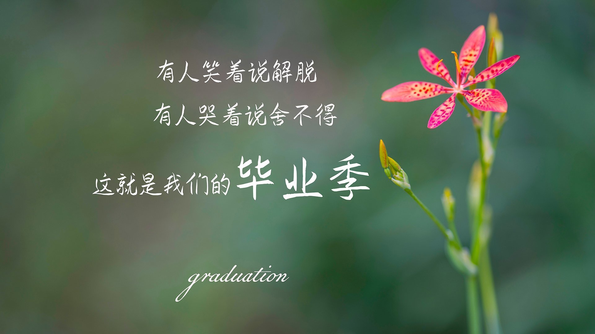 冰火同辉，极速狂飙与绿茵奇迹的唯一性交响