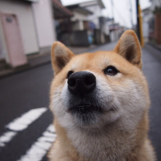 从末节崩盘到9-0一波流,杰伦·格林的生涯之夜如何刺穿开拓者防线