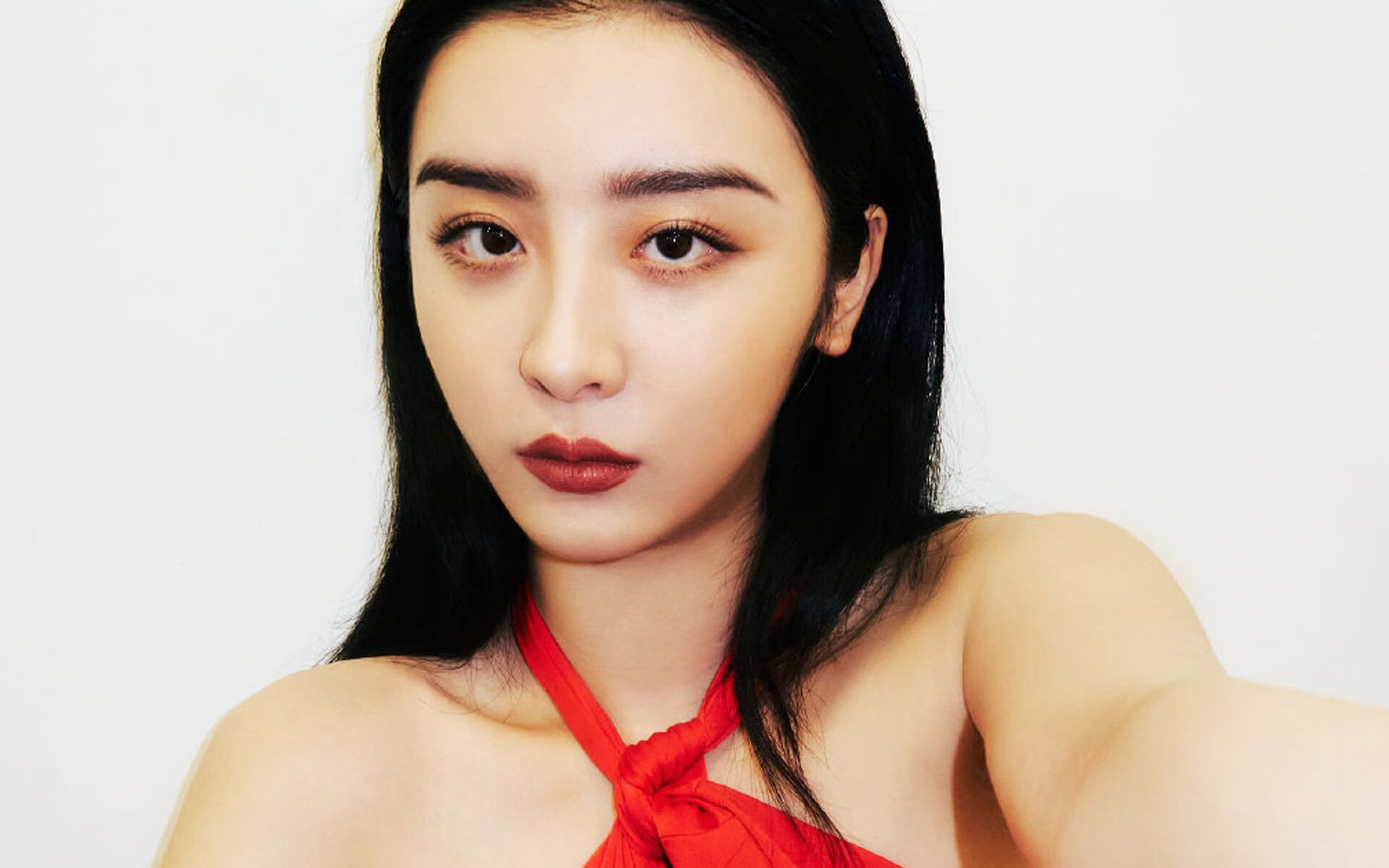 王座与篮筐的对决,当范弗利特为国王而战