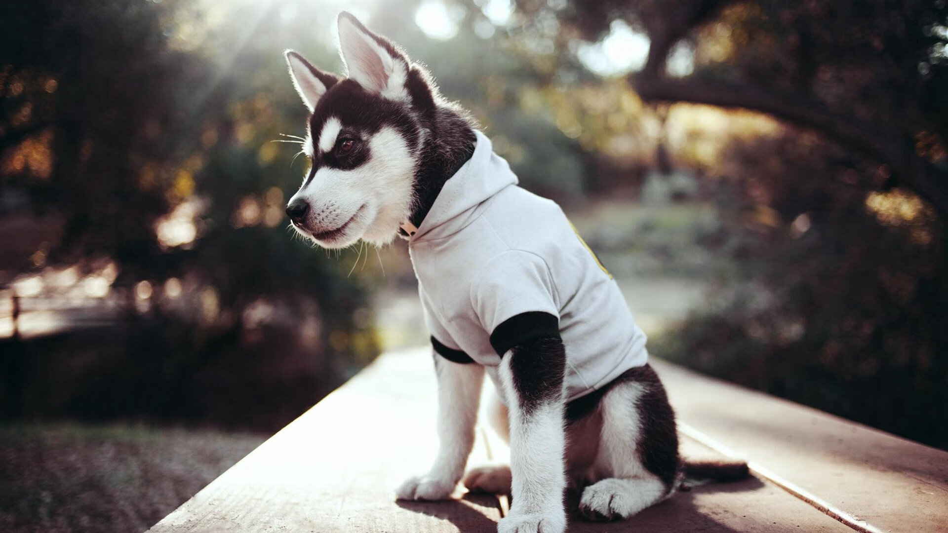 一击定乾坤，当楚阿梅尼的弧线为红魔刻下唯一坐标