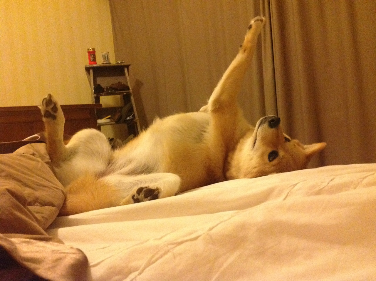 萨拉赫弯刀破蓝月,德布劳内用助攻完成救赎