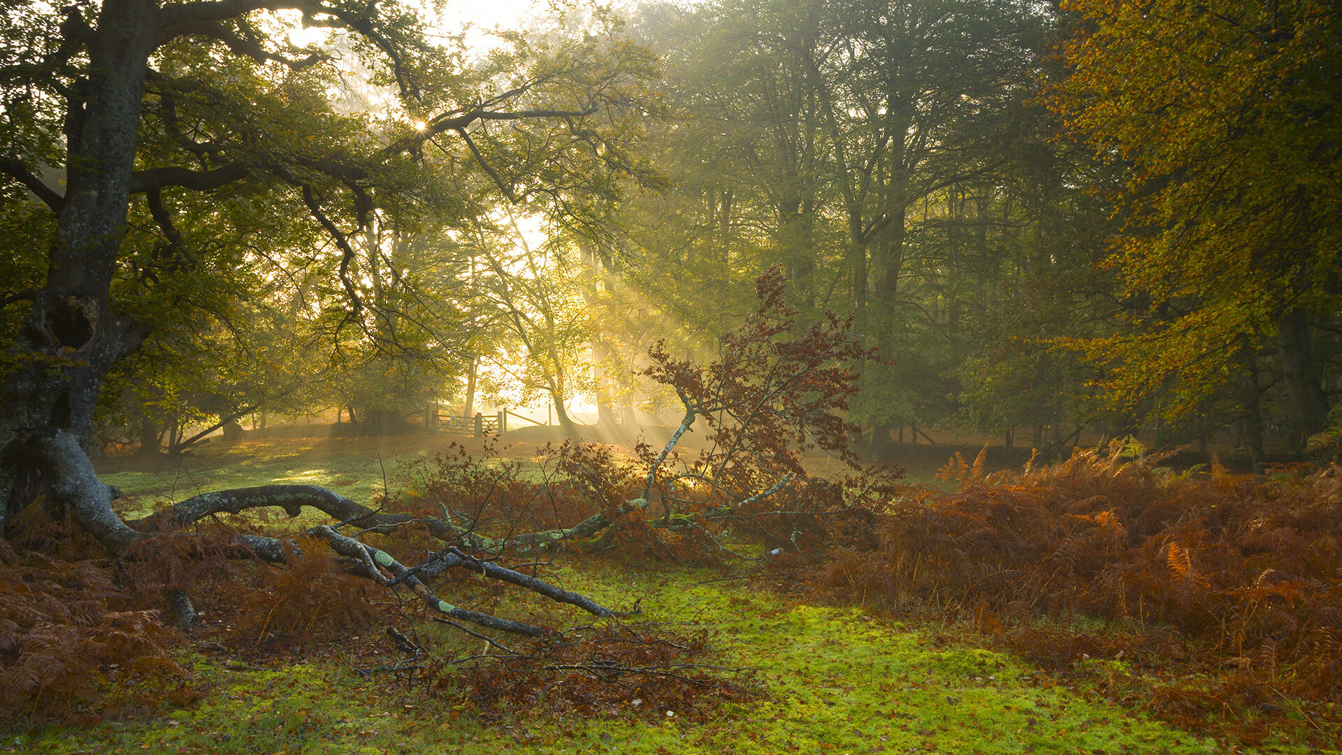 绝境之光,暴走伦纳德撕裂盐湖城,开拓者生死战上演逆天改命