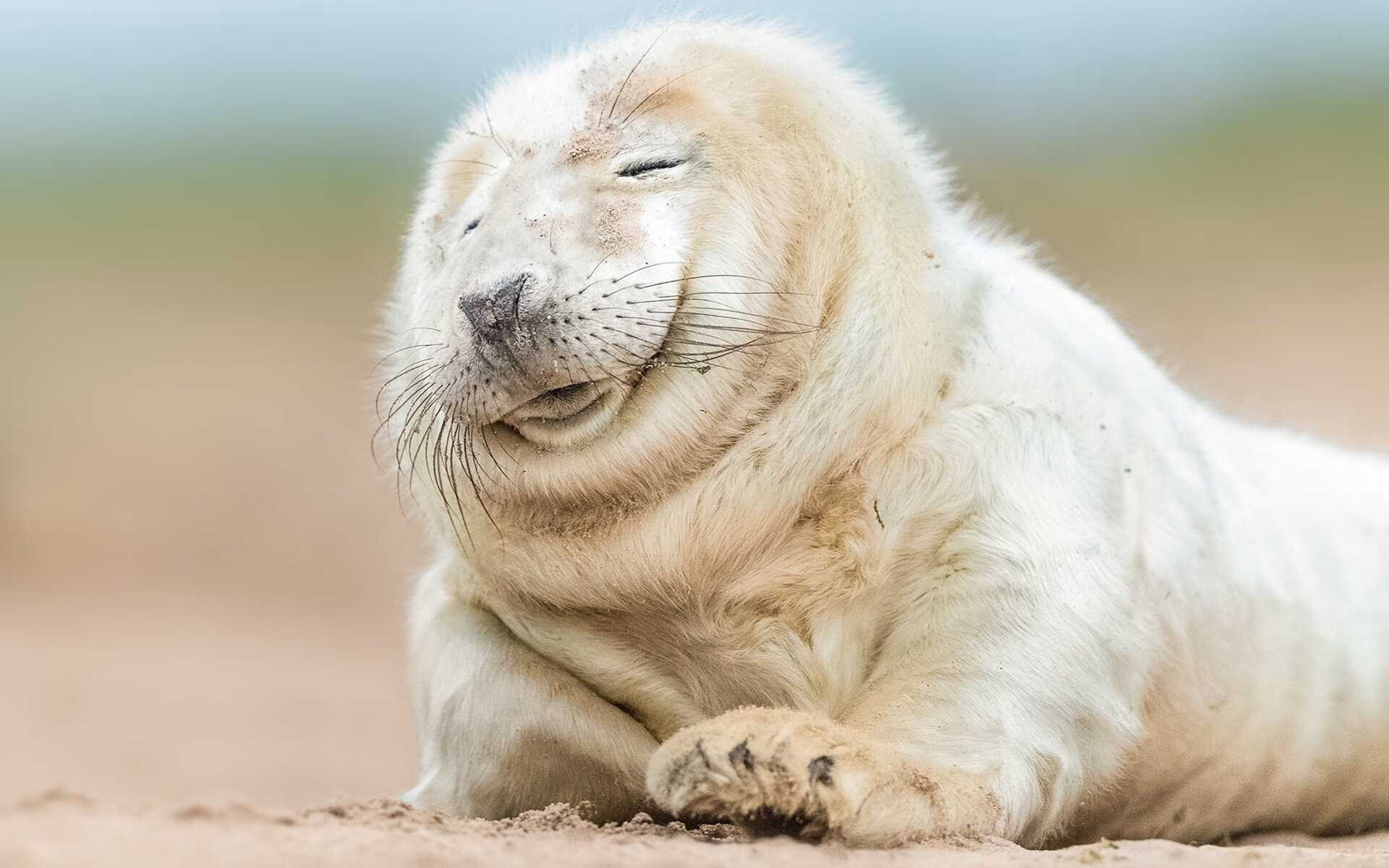 足球场上的东西方交响，西甲德比与日本淘汰赛的共鸣