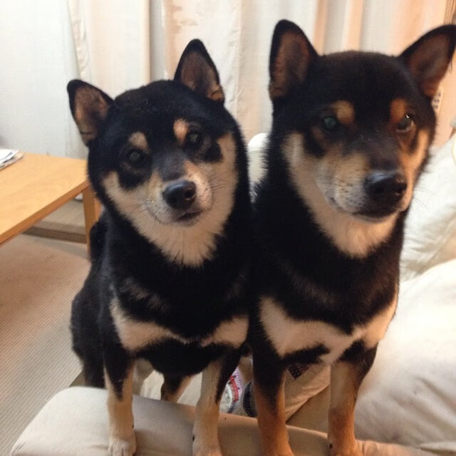 时空交错的篮球意志,当雷霆强断费城,拉文在美加墨的聚光灯下宣告接管