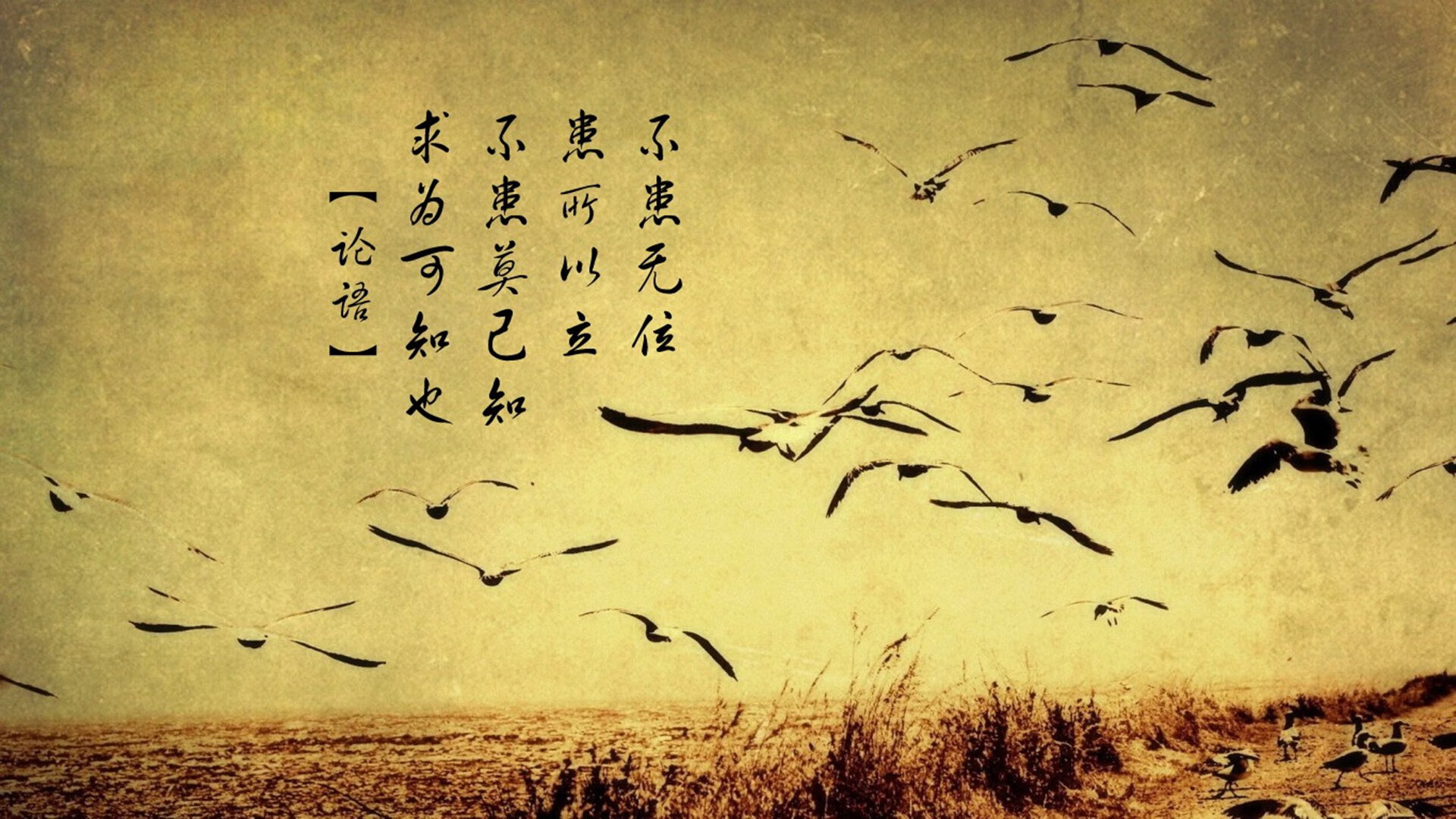 颠覆版图,文班亚马在总决赛的降维打击