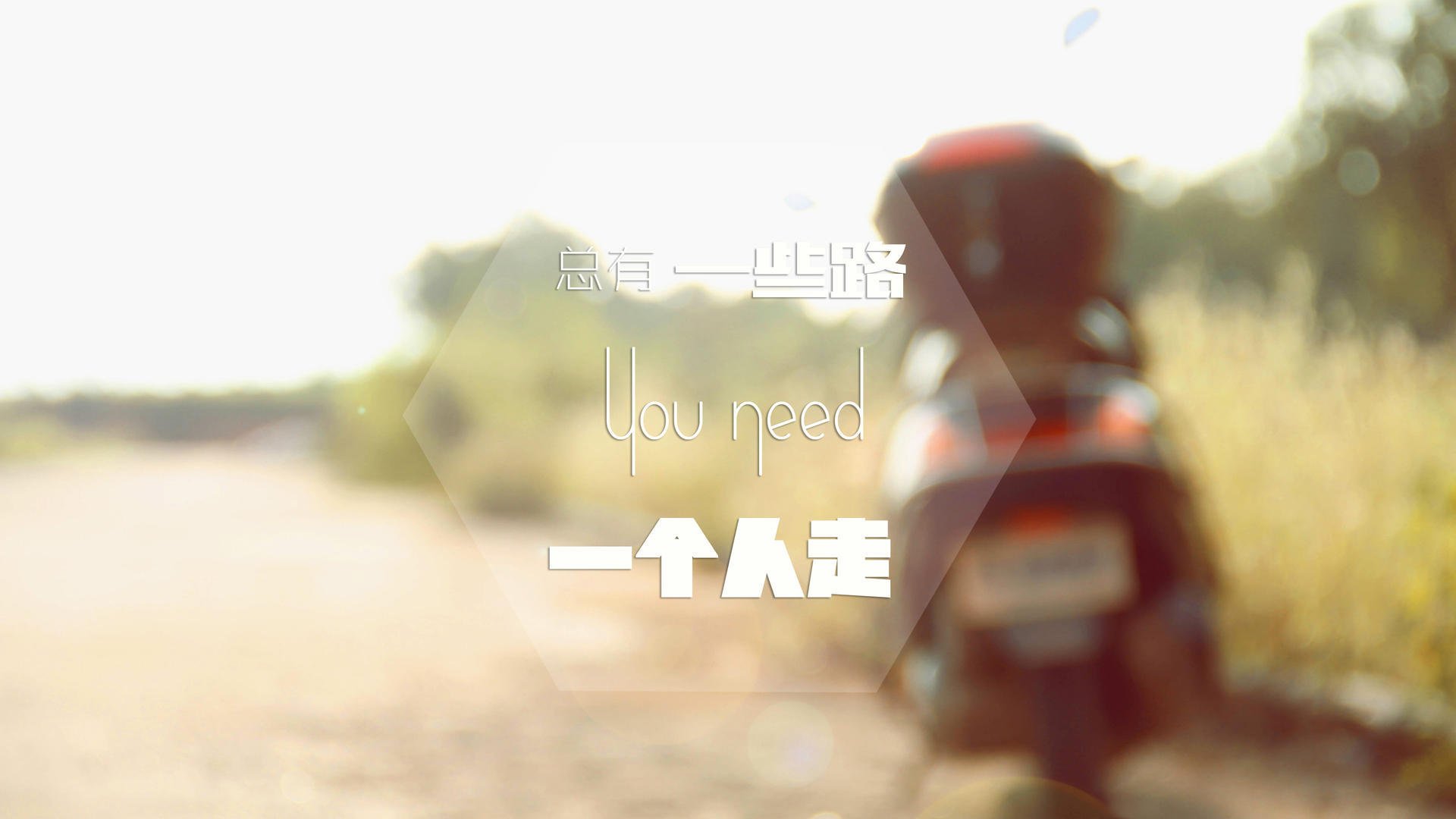 高原雄鹰对话沙漠之狐,当玻利维亚遇上突尼斯,伊布式的硬仗哲学如何上演?