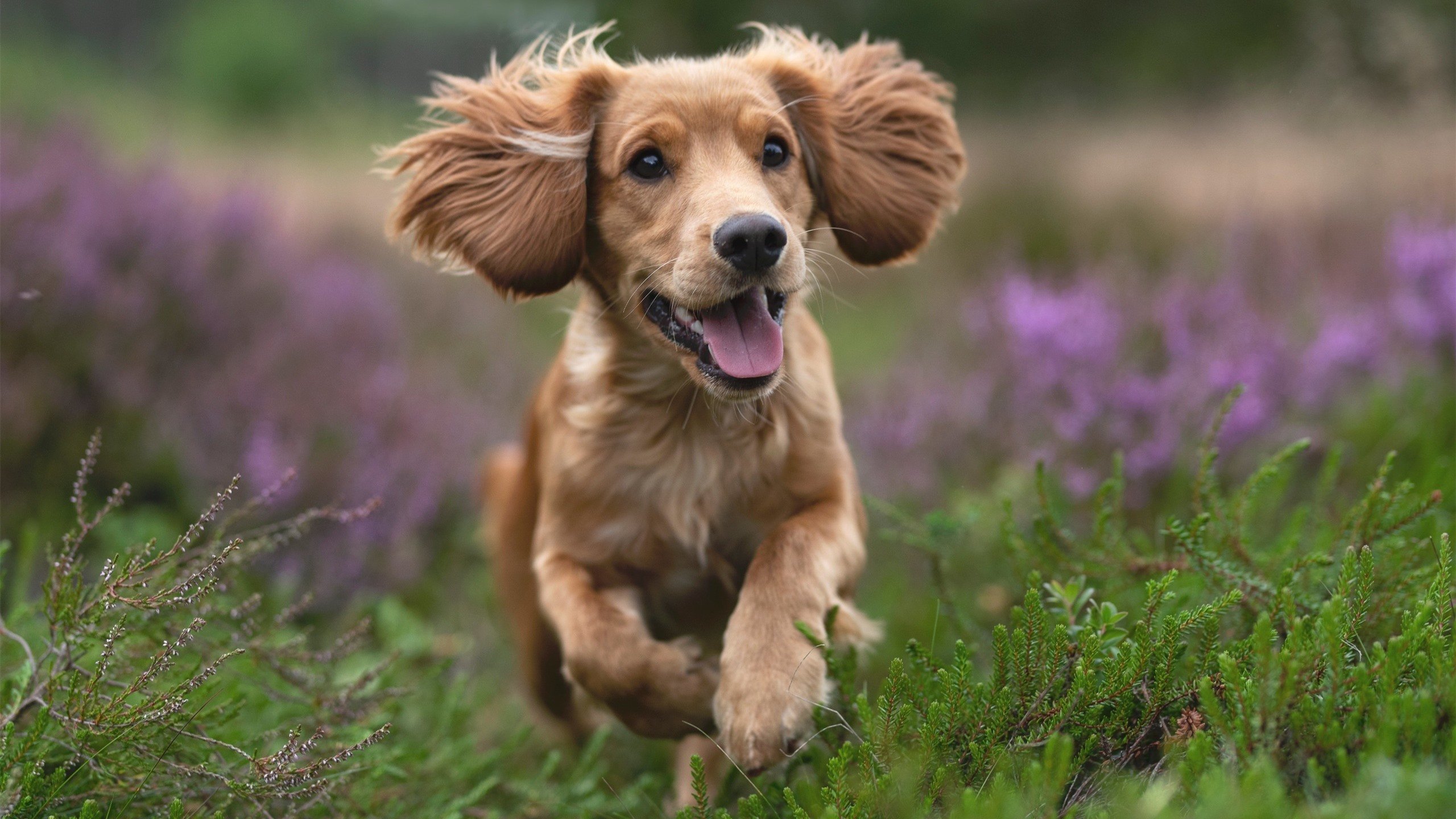 大寒之夜，哈登燃起热火制霸尼克斯的焚城烈焰