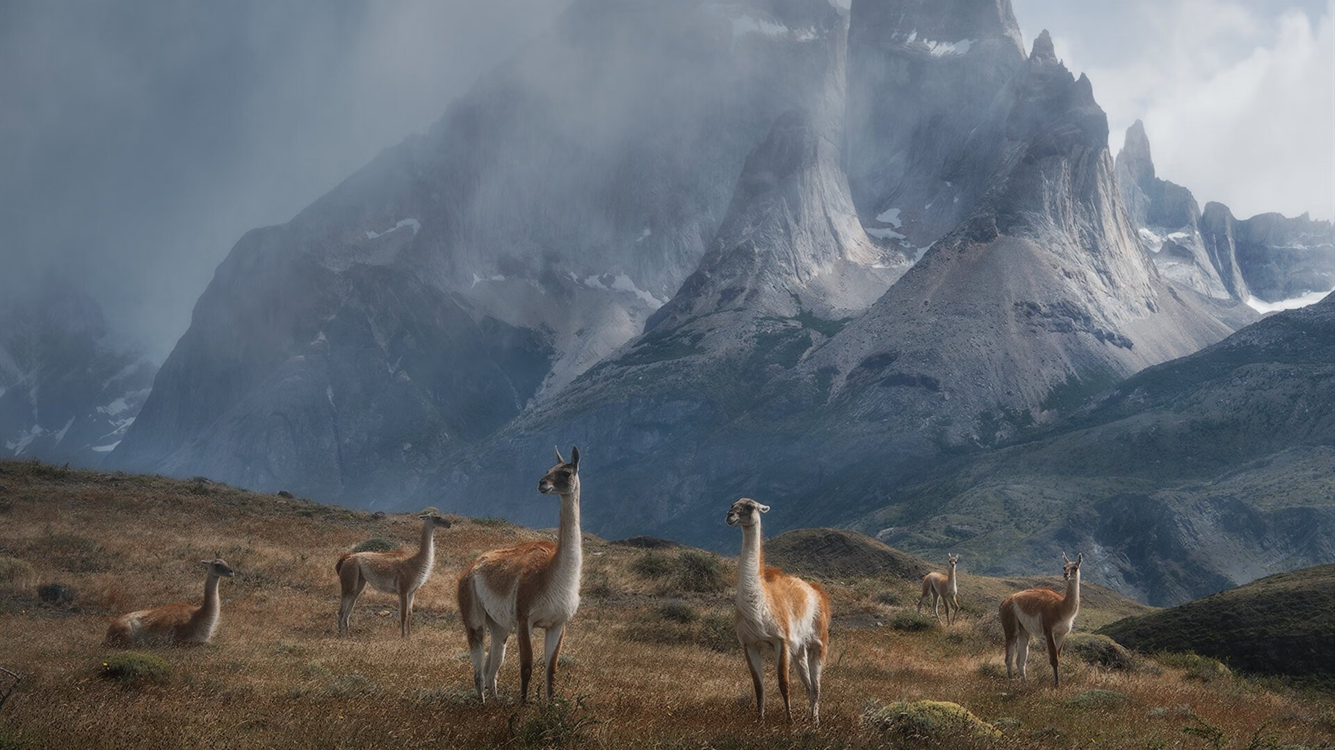 AI觉醒!深圳文班亚马系统首秀,终结北京队战术暗面