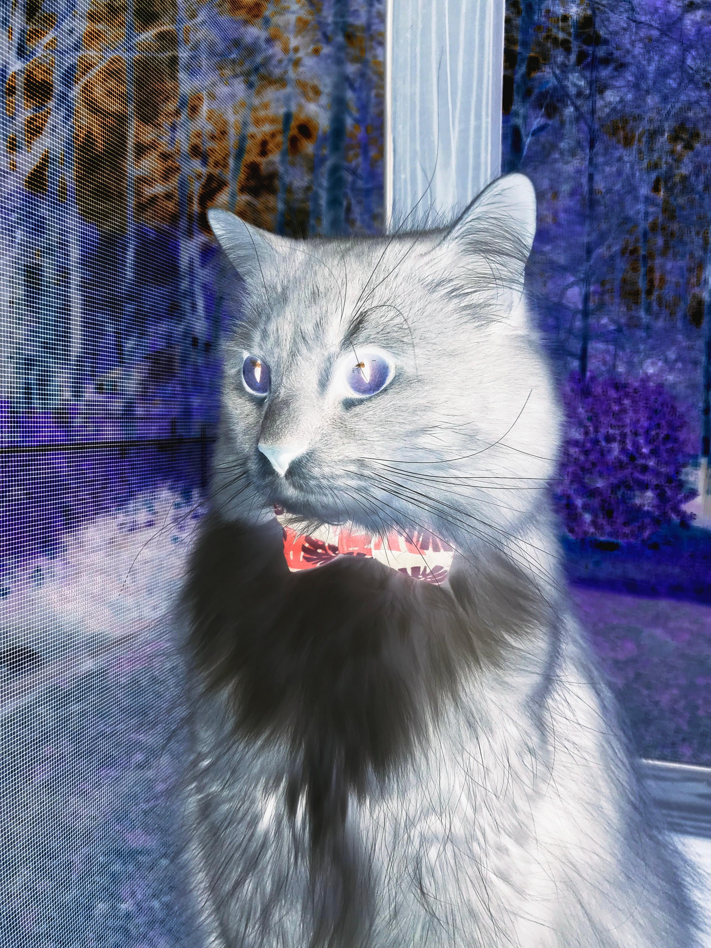 加时鏖战,保罗防守锁死对手!步行者险胜勇士