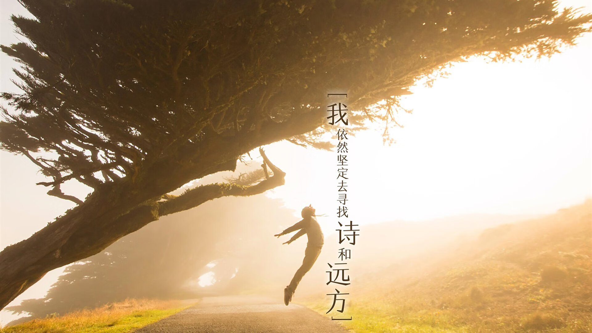 2026世界杯C组揭幕战，哥伦比亚横扫奥地利，京多安独木难支却闪耀全场