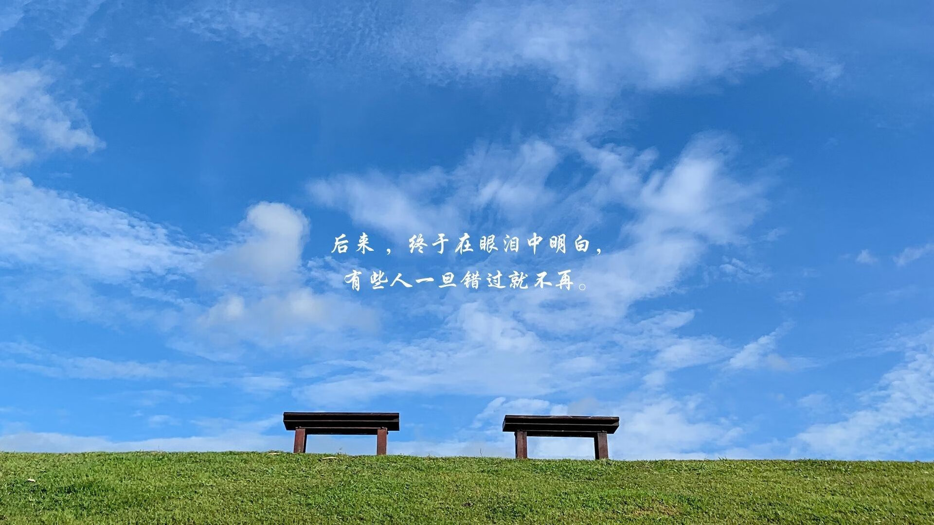 逆转之王再封神，2026世界杯E组焦点战，梅西与奥斯梅恩联手演绎不朽传奇