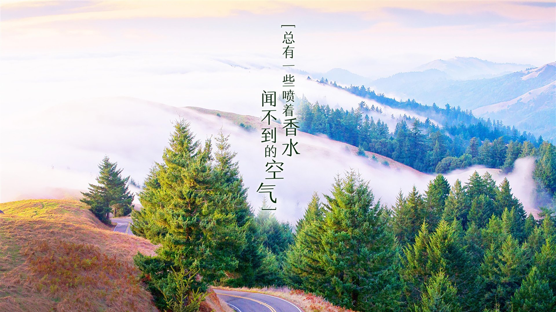 逆转之夜，巴雷拉闪耀2026世界杯A组，澳大利亚绝地反击智利