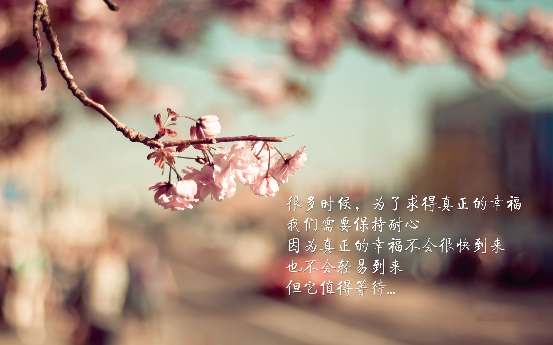 悬念版，死亡之组终极博弈！泰国补时绝杀比利时，迪亚斯一剑封喉，头名之争上演惊天逆转